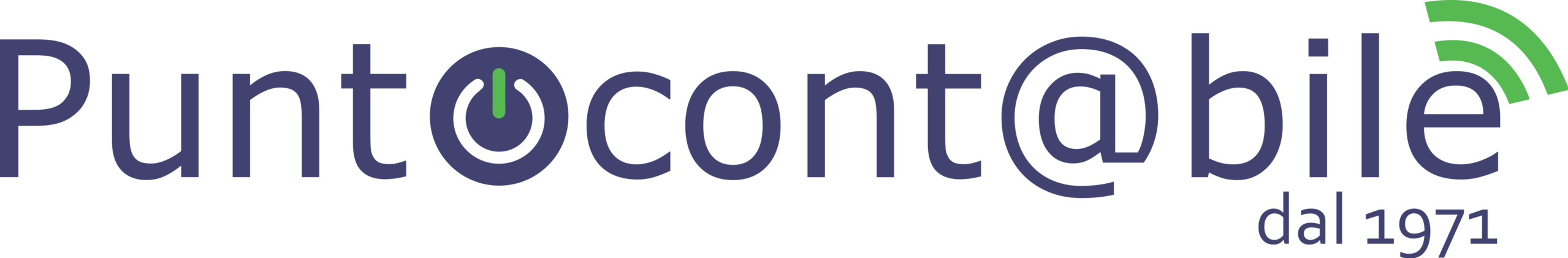 PUNTOCONTABILE SNC